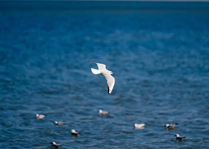 Nazli - 2 Min De Plaja Эфорие Норд